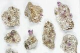 Lot: - Veracruz Amethyst Clusters - Pieces #80635-2
